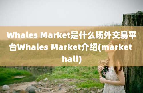 Whales Market是什么场外交易平台Whales Market介绍(market hall)