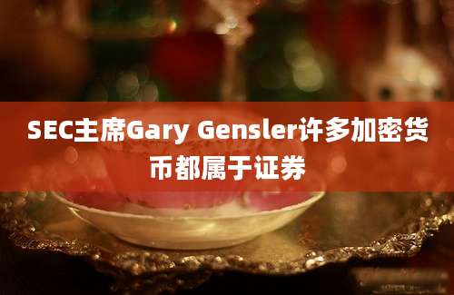 SEC主席Gary Gensler许多加密货币都属于证券