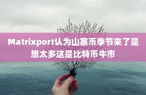 Matrixport认为山寨币季节来了是想太多这是比特币牛市