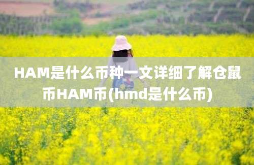 HAM是什么币种一文详细了解仓鼠币HAM币(hmd是什么币)