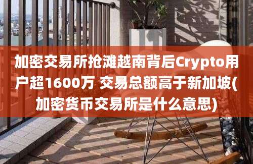 加密交易所抢滩越南背后Crypto用户超1600万 交易总额高于新加坡(加密货币交易所是什么意思)