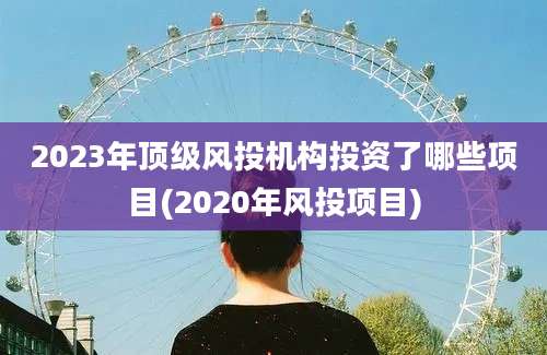 2023年顶级风投机构投资了哪些项目(2020年风投项目)