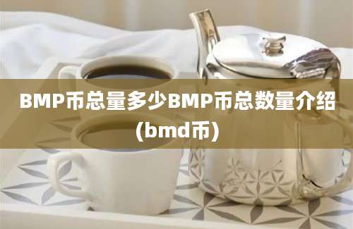 BMP币总量多少BMP币总数量介绍(bmd币)