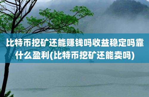 比特币挖矿还能赚钱吗收益稳定吗靠什么盈利(比特币挖矿还能卖吗)