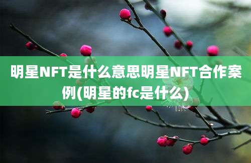 明星NFT是什么意思明星NFT合作案例(明星的fc是什么)