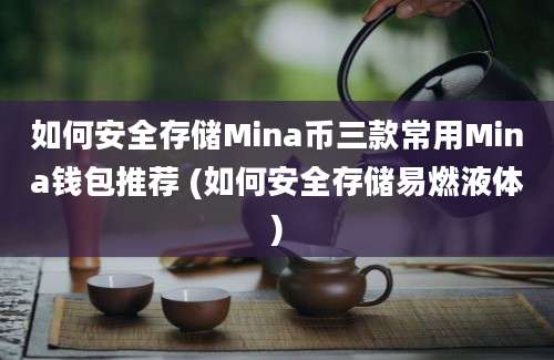 如何安全存储Mina币三款常用Mina钱包推荐 (如何安全存储易燃液体)