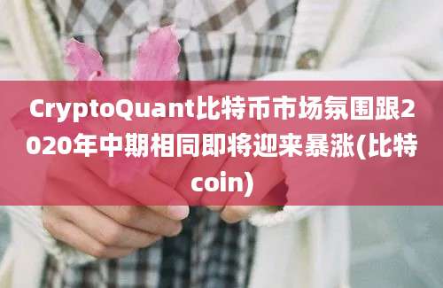 CryptoQuant比特币市场氛围跟2020年中期相同即将迎来暴涨(比特coin)