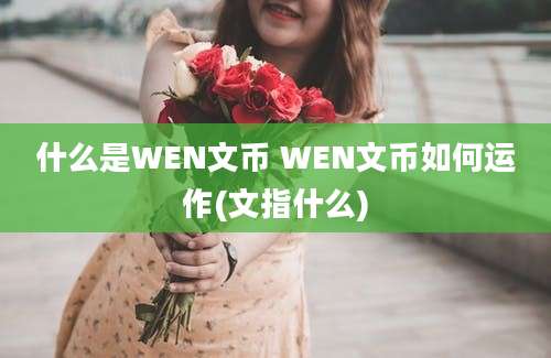 什么是WEN文币 WEN文币如何运作(文指什么)