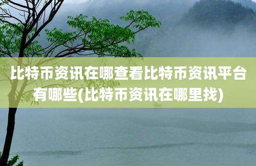 比特币资讯在哪查看比特币资讯平台有哪些(比特币资讯在哪里找)