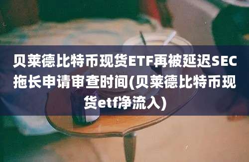 贝莱德比特币现货ETF再被延迟SEC拖长申请审查时间(贝莱德比特币现货etf净流入)