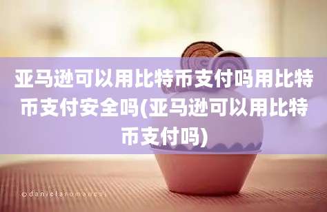 亚马逊可以用比特币支付吗用比特币支付安全吗(亚马逊可以用比特币支付吗)