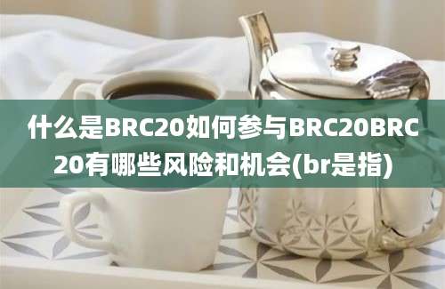 什么是BRC20如何参与BRC20BRC20有哪些风险和机会(br是指)