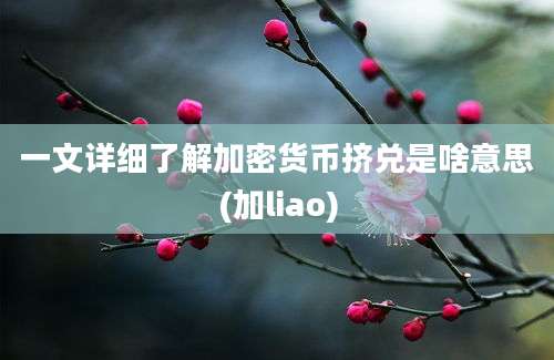 一文详细了解加密货币挤兑是啥意思(加liao)