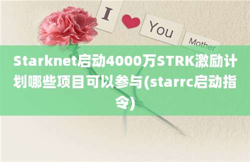 Starknet启动4000万STRK激励计划哪些项目可以参与(starrc启动指令)