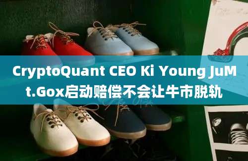 CryptoQuant CEO Ki Young JuMt.Gox启动赔偿不会让牛市脱轨