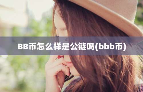 BB币怎么样是公链吗(bbb币)