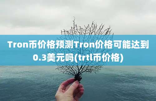 Tron币价格预测Tron价格可能达到0.3美元吗(trtl币价格)