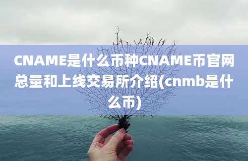 CNAME是什么币种CNAME币官网总量和上线交易所介绍(cnmb是什么币)