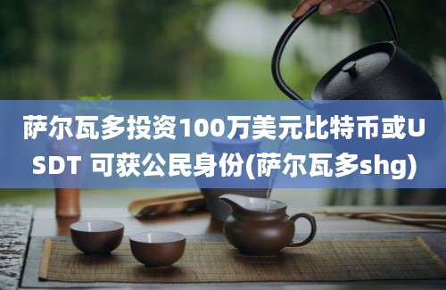 萨尔瓦多投资100万美元比特币或USDT 可获公民身份(萨尔瓦多shg)