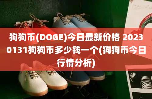 狗狗币(DOGE)今日最新价格 20230131狗狗币多少钱一个(狗狗币今日行情分析)