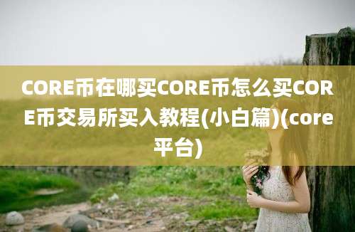 CORE币在哪买CORE币怎么买CORE币交易所买入教程(小白篇)(core平台)