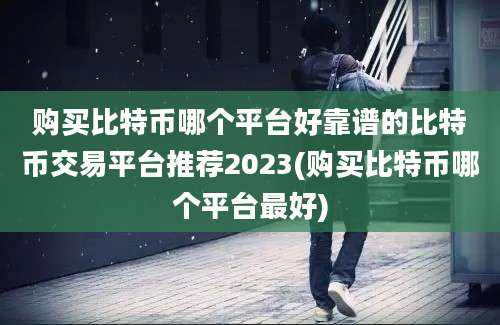 购买比特币哪个平台好靠谱的比特币交易平台推荐2023(购买比特币哪个平台最好)