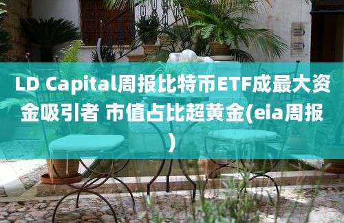 LD Capital周报比特币ETF成最大资金吸引者 市值占比超黄金(eia周报)