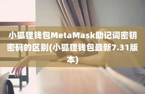 小狐狸钱包MetaMask助记词密钥密码的区别(小狐狸钱包最新7.31版本)