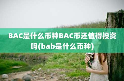 BAC是什么币种BAC币还值得投资吗(bab是什么币种)