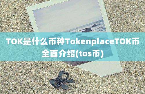 TOK是什么币种TokenplaceTOK币全面介绍(tos币)