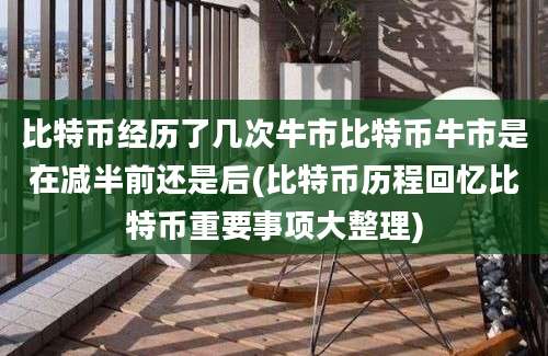 比特币经历了几次牛市比特币牛市是在减半前还是后(比特币历程回忆比特币重要事项大整理)