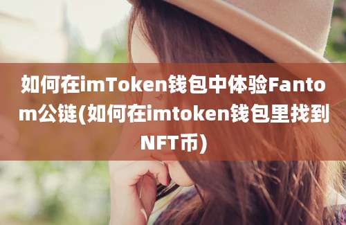 如何在imToken钱包中体验Fantom公链(如何在imtoken钱包里找到NFT币)