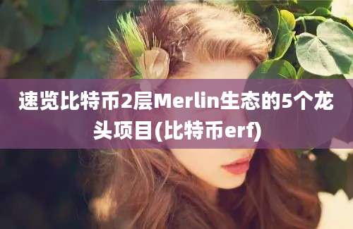 速览比特币2层Merlin生态的5个龙头项目(比特币erf)