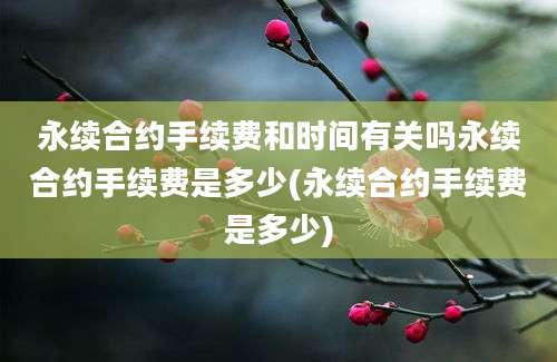 永续合约手续费和时间有关吗永续合约手续费是多少(永续合约手续费是多少)