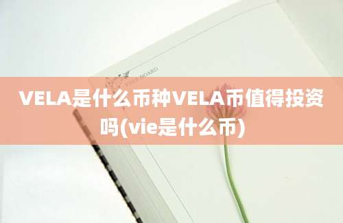 VELA是什么币种VELA币值得投资吗(vie是什么币)