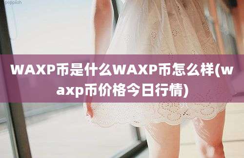 WAXP币是什么WAXP币怎么样(waxp币价格今日行情)