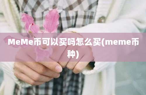 MeMe币可以买吗怎么买(meme币种)