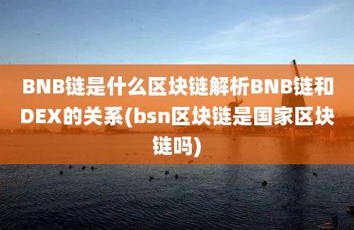 BNB链是什么区块链解析BNB链和DEX的关系(bsn区块链是国家区块链吗)