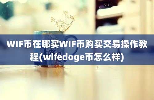 WIF币在哪买WIF币购买交易操作教程(wifedoge币怎么样)