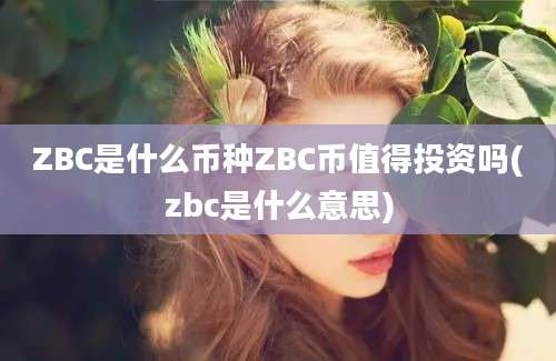 ZBC是什么币种ZBC币值得投资吗(zbc是什么意思)