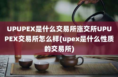 UPUPEX是什么交易所涨交所UPUPEX交易所怎么样(upex是什么性质的交易所)