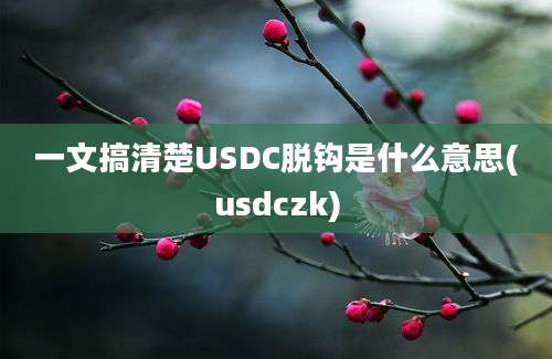 一文搞清楚USDC脱钩是什么意思(usdczk)