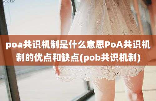 poa共识机制是什么意思PoA共识机制的优点和缺点(pob共识机制)