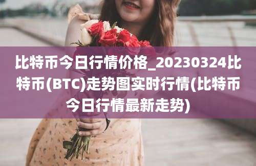 比特币今日行情价格_20230324比特币(BTC)走势图实时行情(比特币今日行情最新走势)