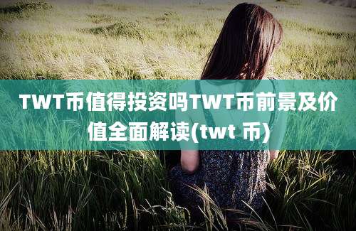 TWT币值得投资吗TWT币前景及价值全面解读(twt 币)