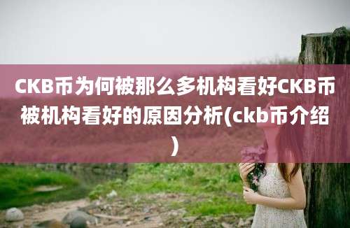 CKB币为何被那么多机构看好CKB币被机构看好的原因分析(ckb币介绍)