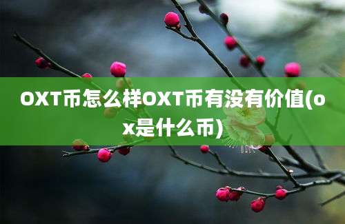 OXT币怎么样OXT币有没有价值(ox是什么币)