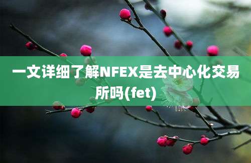 一文详细了解NFEX是去中心化交易所吗(fet)