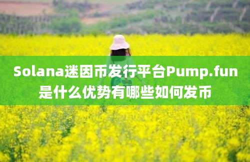 Solana迷因币发行平台Pump.fun是什么优势有哪些如何发币