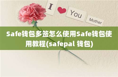 Safe钱包多签怎么使用Safe钱包使用教程(safepal 钱包)